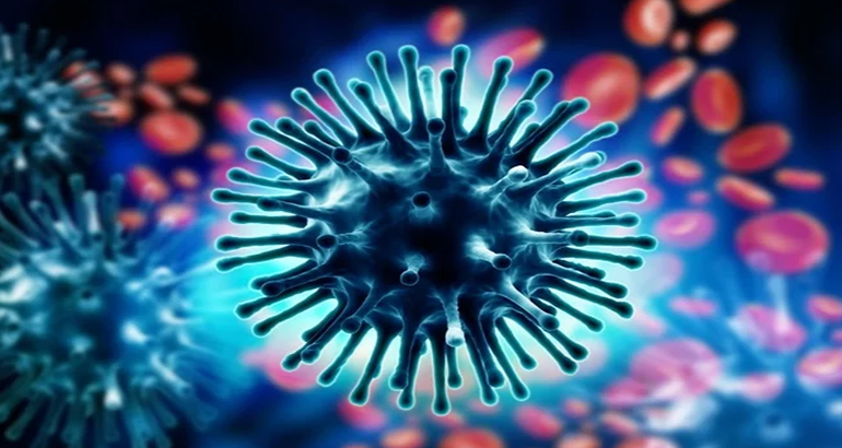 Swine Flu